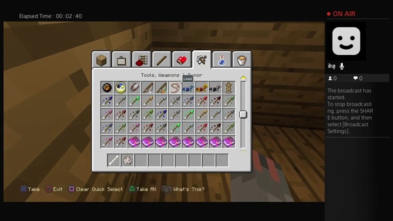 Minecraft (33)