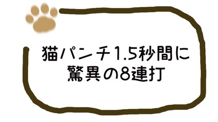猫パンチ1.5秒間に驚異の8連打 Cat punch 8 hits In 1.5 seconds