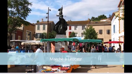 Conciergerie Leucate