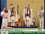 Nicolae si Tudor Furdui Iancu - Noi suntem romani (Sibiu - 1 Decembrie 2012 - ETNO TV)