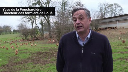 Les OGM encore bien présents dans les mangeoires d'animaux