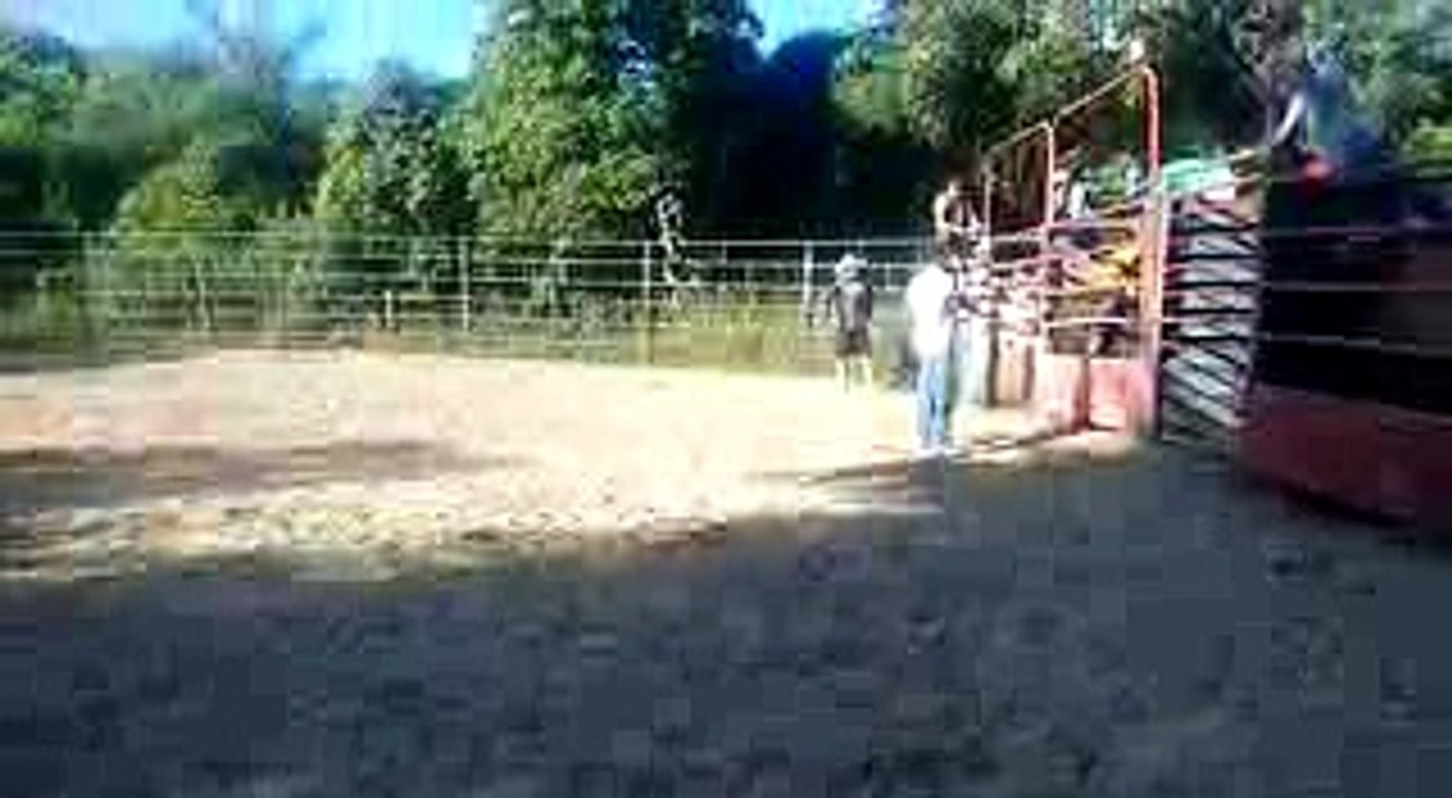 Maick Kenner Vs Pitbull