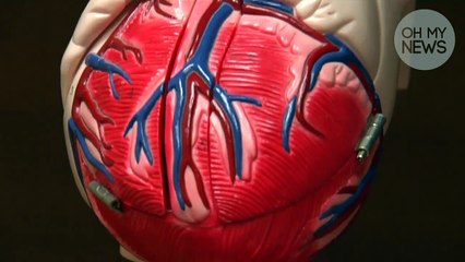 Hypertension : symptômes, risques et traitement. Regardez...