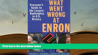 PDF [DOWNLOAD] What Went Wrong at Enron: Everyone s Guide to the Largest Bankruptcy in U.S.