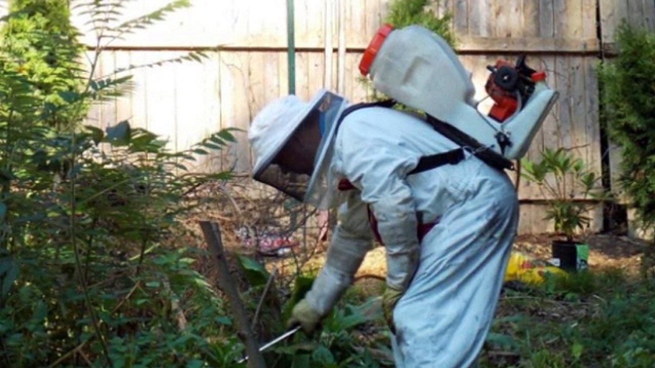 Bed Bug Exterminator Indianapolis IN