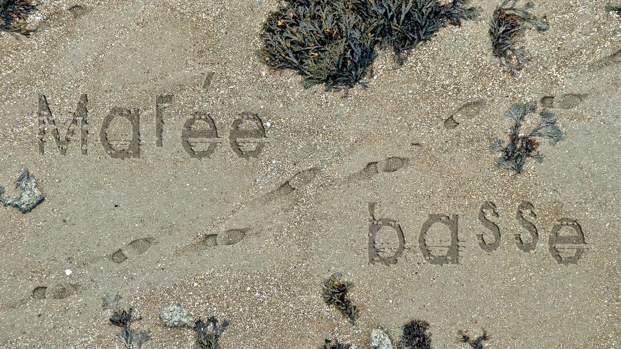 Marée basse