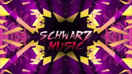 Warriyo feat. Laura Brehm - Mortals ( DJ Rival Remix )