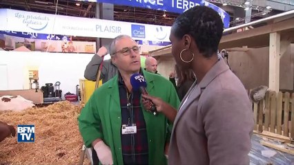 Avant l'ouverture du salon de l'Agriculture, les vétérinaires à pied d'œuvre