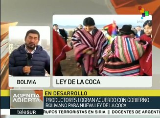 Bolivia: Nueva Ley General de la Coca permite ampliar el cultivo legal