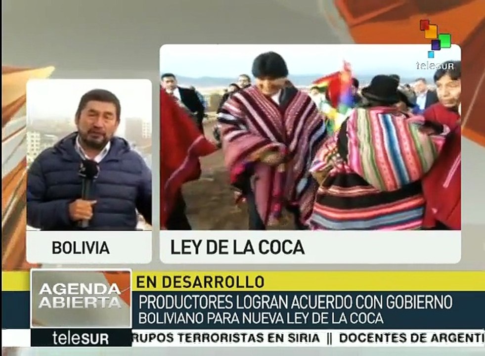 Bolivia: Nueva Ley General de la Coca permite ampliar el cultivo legal