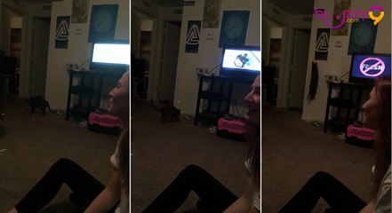 Il utilise son chat et un laser pour éteindre la lumière!