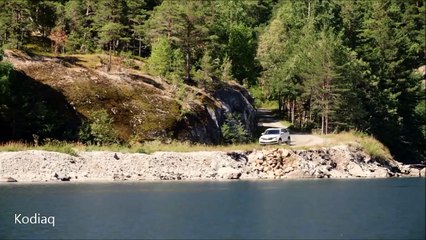 Skoda Kodiaq vs Land Rover Discovery Sport vs Kia Sorento