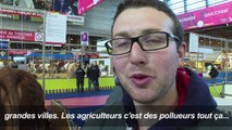 Salon de l'agriculture : derniers préparatifs avant l'ouverture