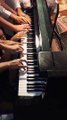 14 pianistes jouent sur un seul piano - Cover de Night of Nights Death Waltz