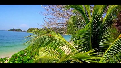 The island with Bear Grylls S01E03