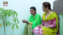 Watch Rishta Anjana Sa Episode 143 - on Ary Digital in High Quality 24th February 2017