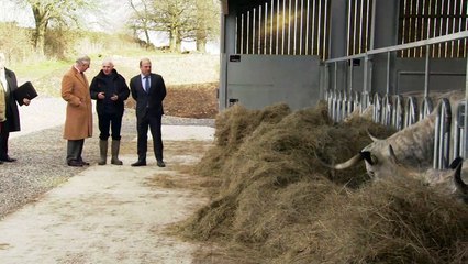 One is not a-moosed: Prince Charles mucks about on farm
