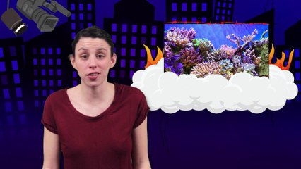 Bad News: The Coral Reef Murderers!