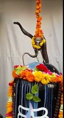 Hindu worshiping snake 2017