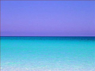 Neci bez nje ja da zivim