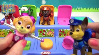 Paw Patrol Pop Up Pals Toys Learn Colors with Paw Patrol Surprise Toys Fun and Creative for Kids