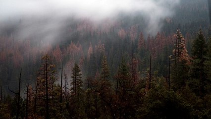 Abraham Hicks 2017 - A breakup focus wheel