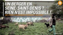 Un berger en Seine-Saint-Denis ? Rien n’est impossible !