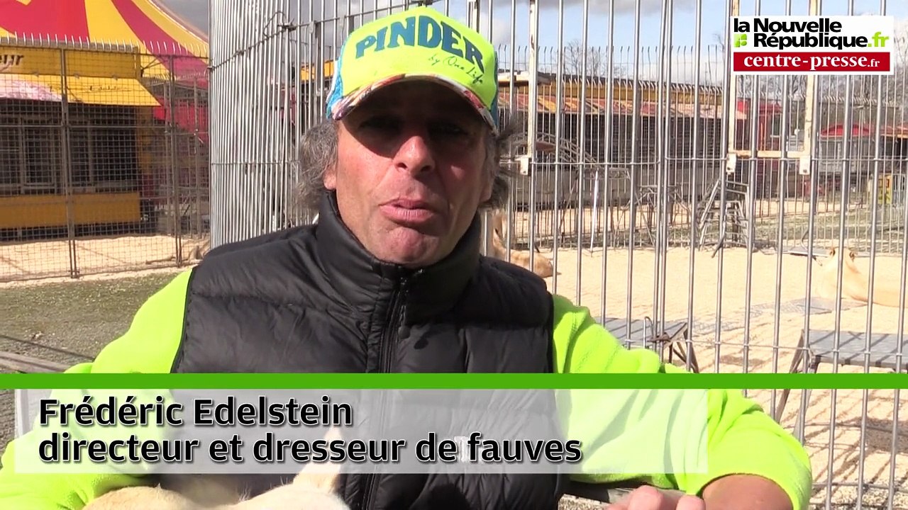 VIDEO. Poitiers. Manifestation devant le cirque Pinder