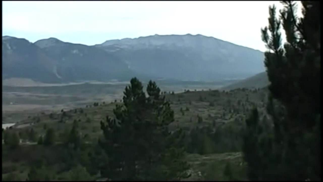 Vran planina