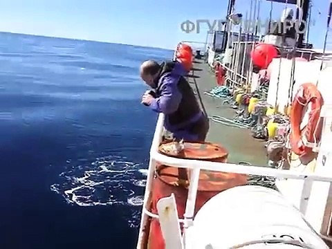 Il filme l’ບ, mais ce qui surgit des profondeurs de la mer risque de vous donner des frissons !