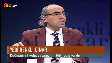 Yerdi Renkli Çınar 24 02 2017