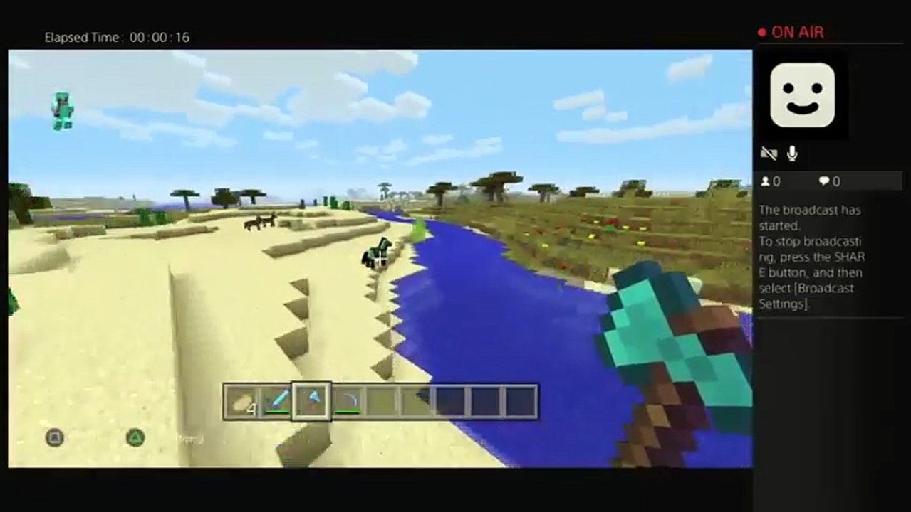 Minecraft (34)