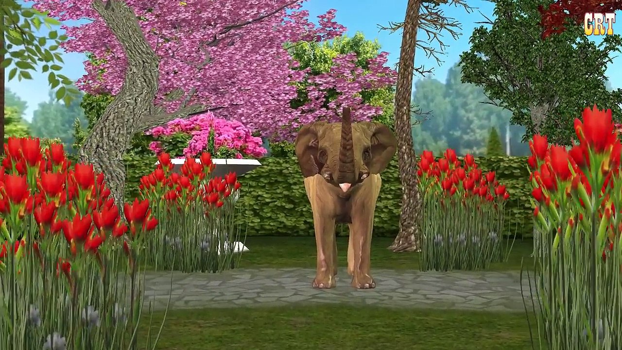 Lion, Tiger, Gorilla, Bear Animals Sounds Nursery Rhymes | Children Rhymes For Kids Collec