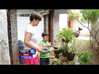 Modul Parenting Berkebun - NET12