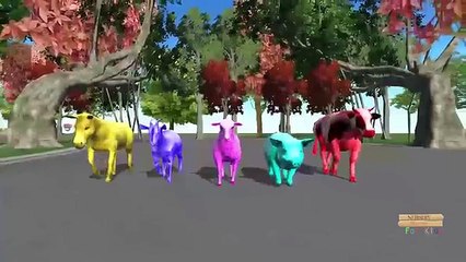 Superheroes Spiderman hulk Dinosaur Finger family - Animals Rhymes 3d Animation Finger family