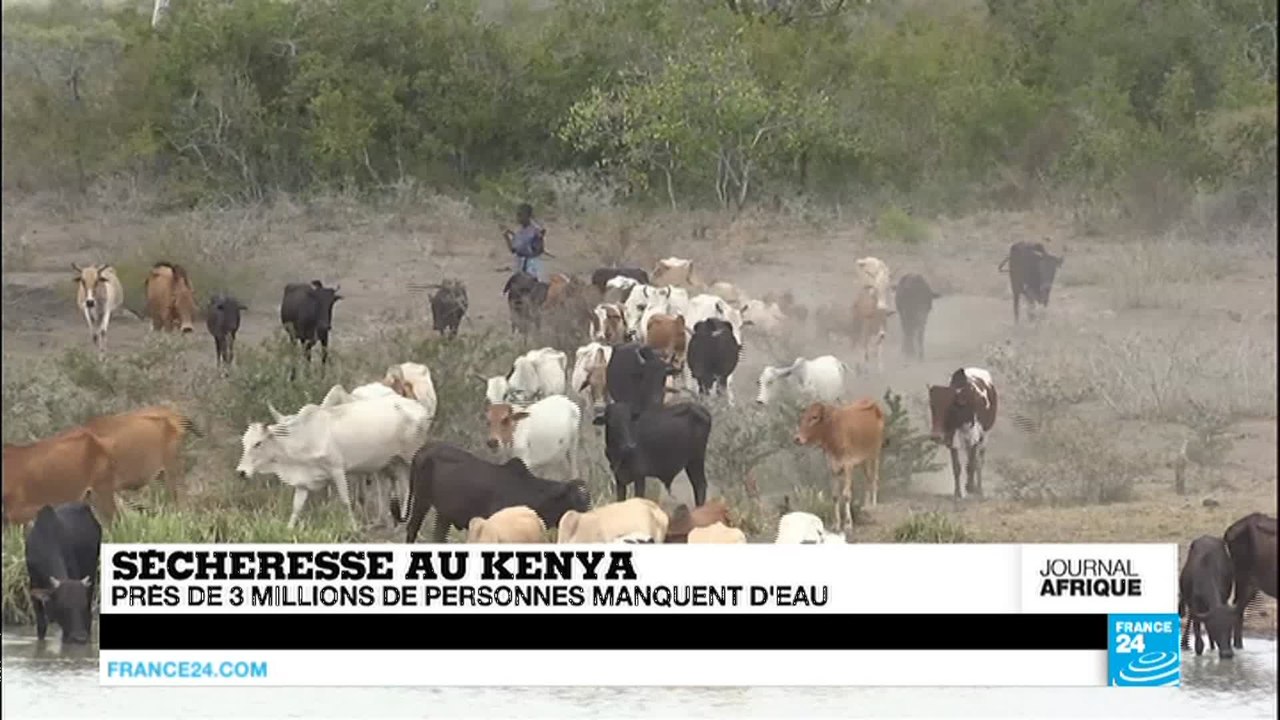 Cameroun : des milliers de déplacés fuyant Boko Haram menacés par la famine