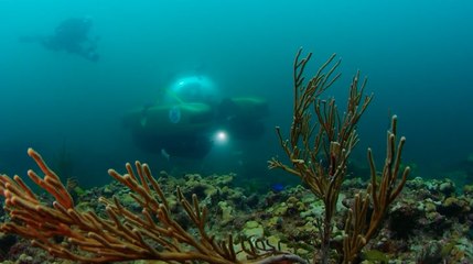 Philippe Cousteau On How Risk Taking Has Molded His Career And Outlook On Life