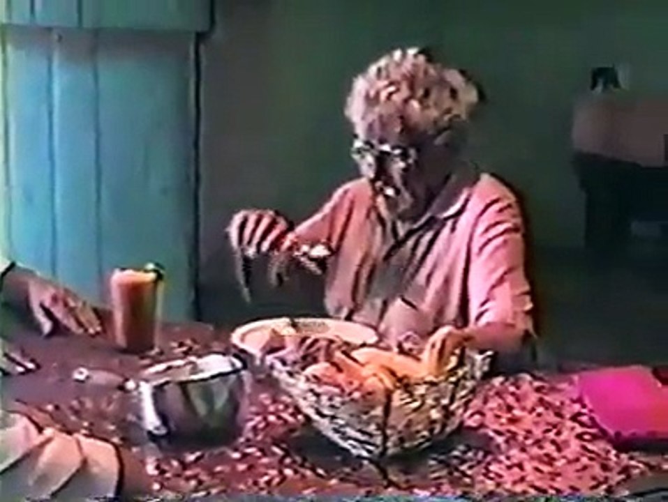 vozinho