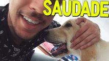 COMO EU TAVA COM SAUDADE DO MEU CACHORRO!