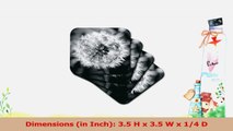 3dRose cst517622 Black and White Dandelion Puff Soft Coasters Set of 8 875a0881