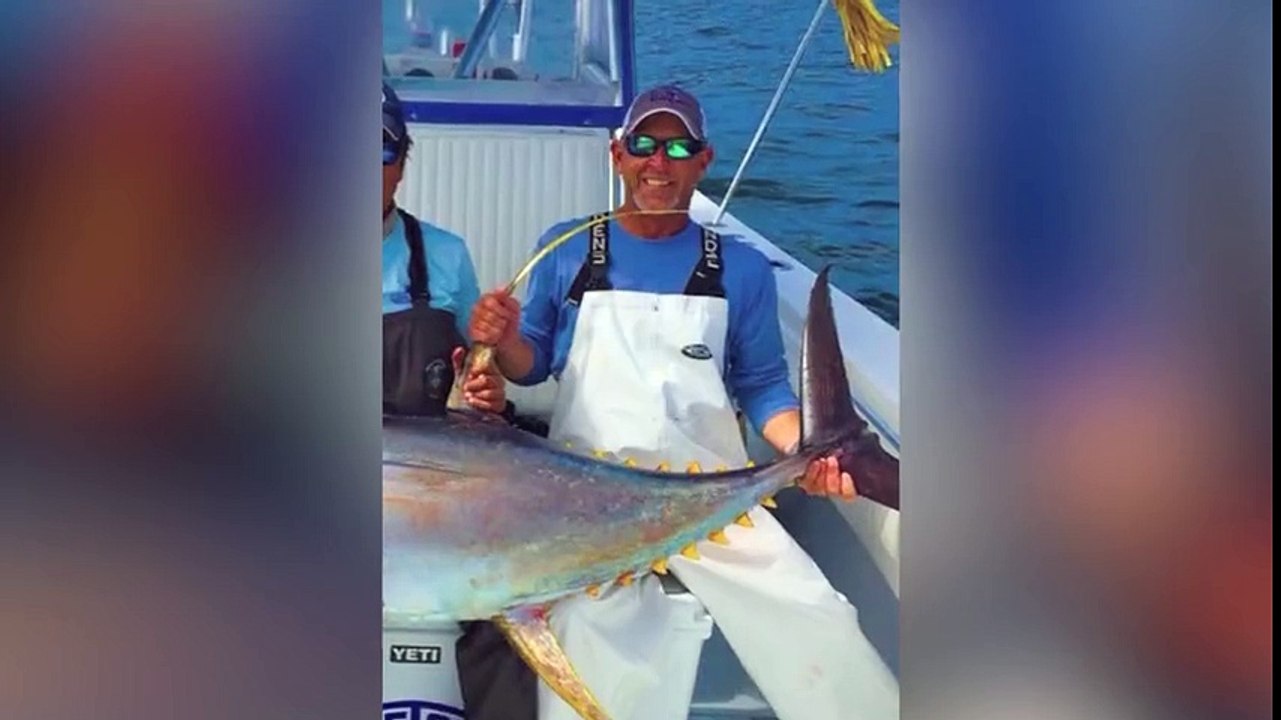 Çekiç Başlı Köpekbalığı Ve Kaplan Köpekbalığı Arasındaki Amansız Savaş