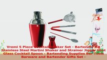 Vremi 5 Piece Cocktail Shaker Set  Bartender Kit Stainless Steel Martini Shaker and d267767f