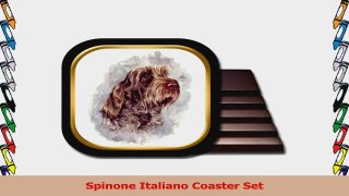 Spinone Italiano Coaster Set d5c36105