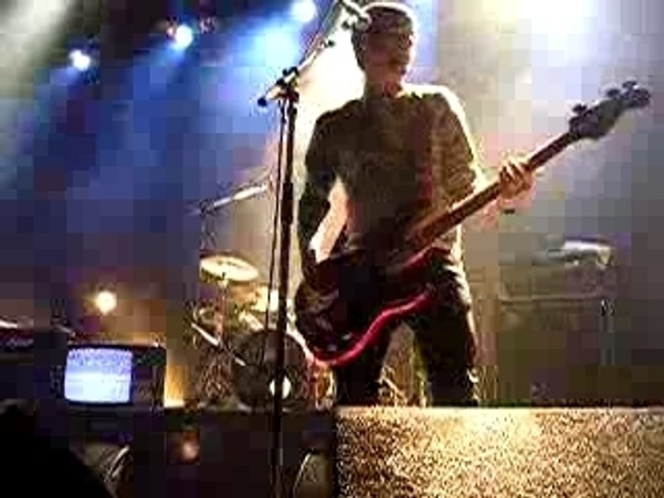 We are the bird and the bees...