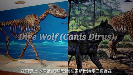 十大真相 - 冰與火之歌：權力遊戲 (Top 10 Facts - Game of Thrones) [中文字幕]