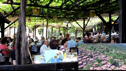 ΠΑΛΑΙΟΣ ΠΑΝΤΕΛΕΗΜΟΝΑΣ