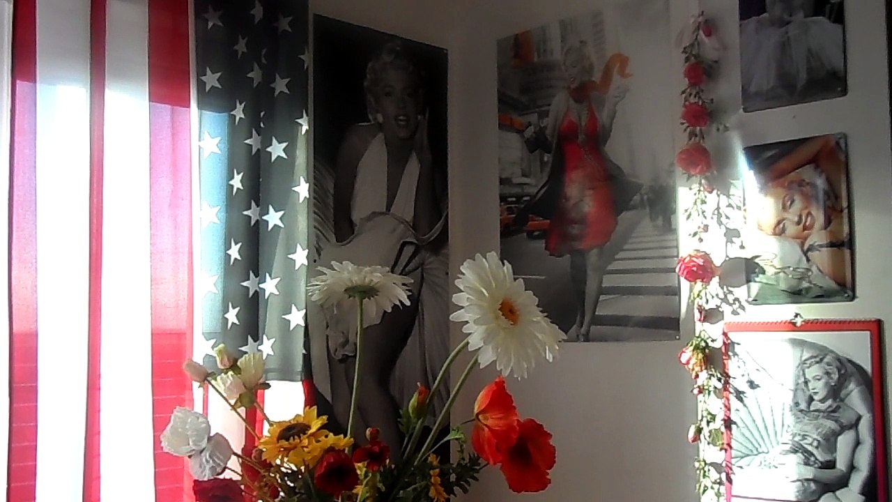 étienne daho  tombé pour la france....