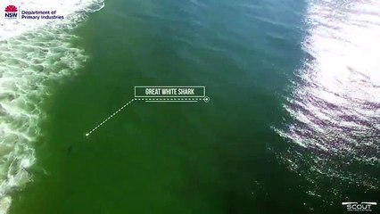 kur e sheh vdekjen me sy