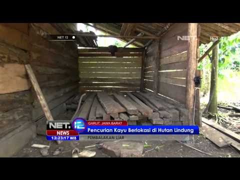 Bupati Garut Temukan Sisa-sisa Pencurian Kayu - NET12