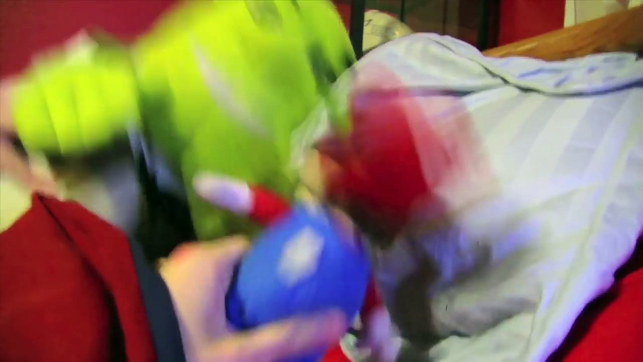 Shreks Homemade Cheesecake Taste Test